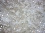 laminado-plastico-desert-passage.2