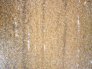 laminado-plastico-english-oak.2