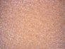 laminado-plastico-arce-mediterraneo.2