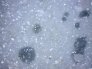 pavimento-vinilico-heterogeneo-blue-grey.1