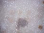 pavimento-vinilico-heterogeneo-pink-grey.1