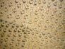 piso-laminado-de-bamboo-amber-flat-grain.2