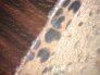 piso-laminado-de-bamboo-ebony-stained-coconut-palm-durapalm.2