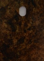 laminado-plastico-milano-mahogany