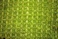 textil-spongy-kiwi