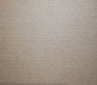 MTMX-PAP-1354