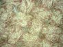Microscopio