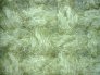 Microscopio