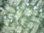 Microscopio