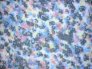 Microscopio