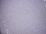 revestimiento-vinilico-149