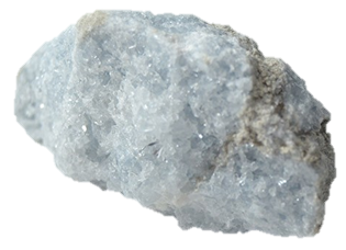 Celestina pulida