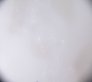 laminado-haze-agete.1