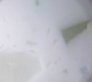 laminado-sea-glass.1