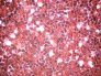vinil-textil-129.5