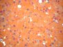 vinil-textil-133.2