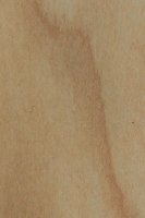laminado-plastico-maple-glen