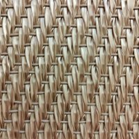 bolon-now-champagne