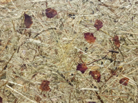 panel-reciclado-de-petalos-de-rosa