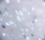 laminado-chamois-spex.1