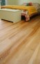 panel-de-madera-de-eucalipto-reciclable.1