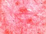 membrana-acustica-de-pet-reciclado.1